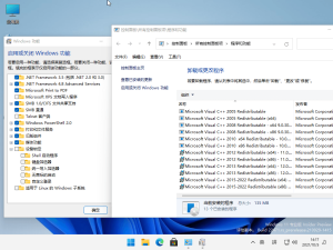 小修Windows11 22000.1163专业版-米壳知道