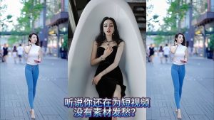 AI换脸内部课程之一张照片视频换脸工具之一键启动VIP版-米壳知道